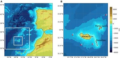 Asymmetric Ocean Response to Atmospheric Forcing in an Island Wake: A 35-Year High-Resolution Study